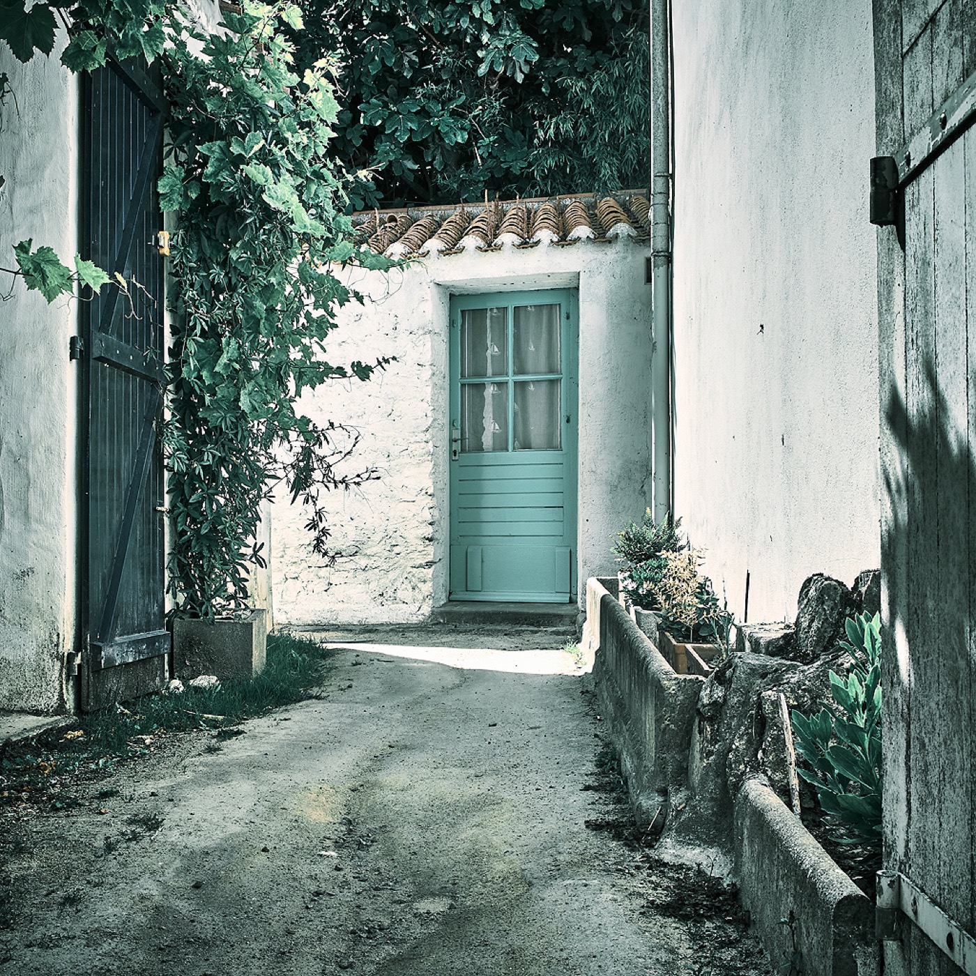 Noirmoutier, image 08
