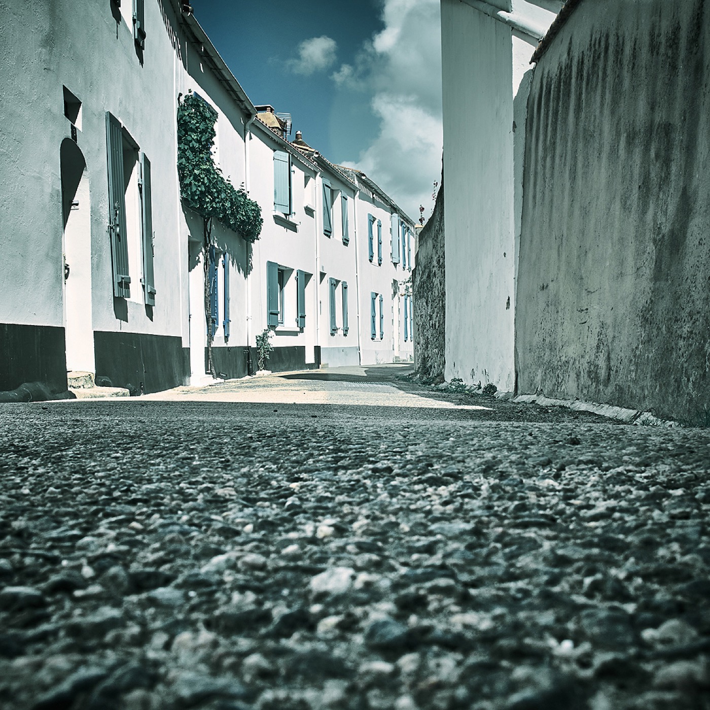 Noirmoutier, image 09