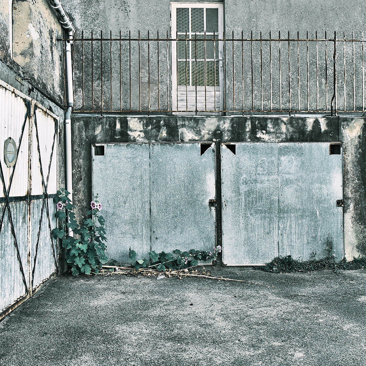 Noirmoutier, image 15