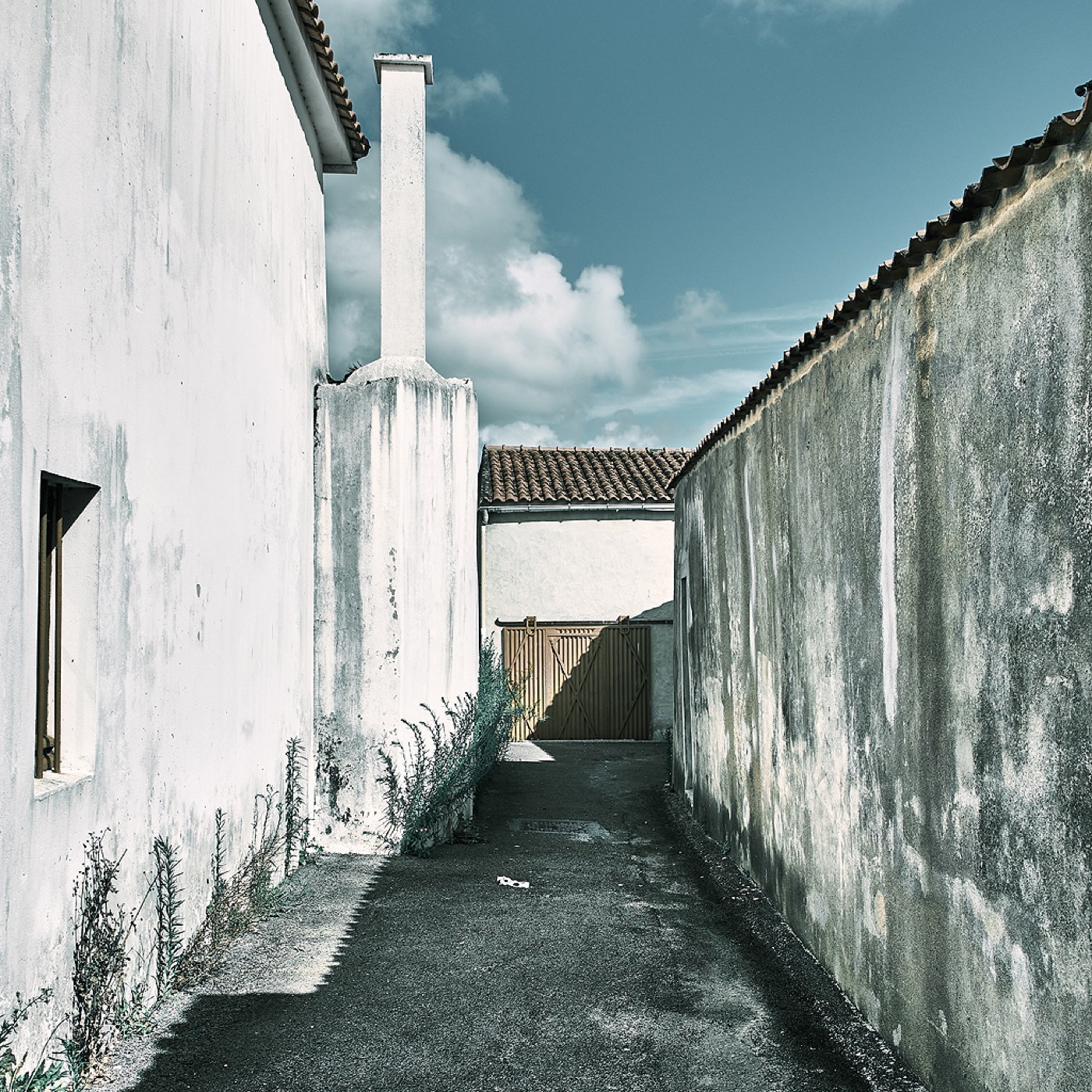 Noirmoutier, image 16