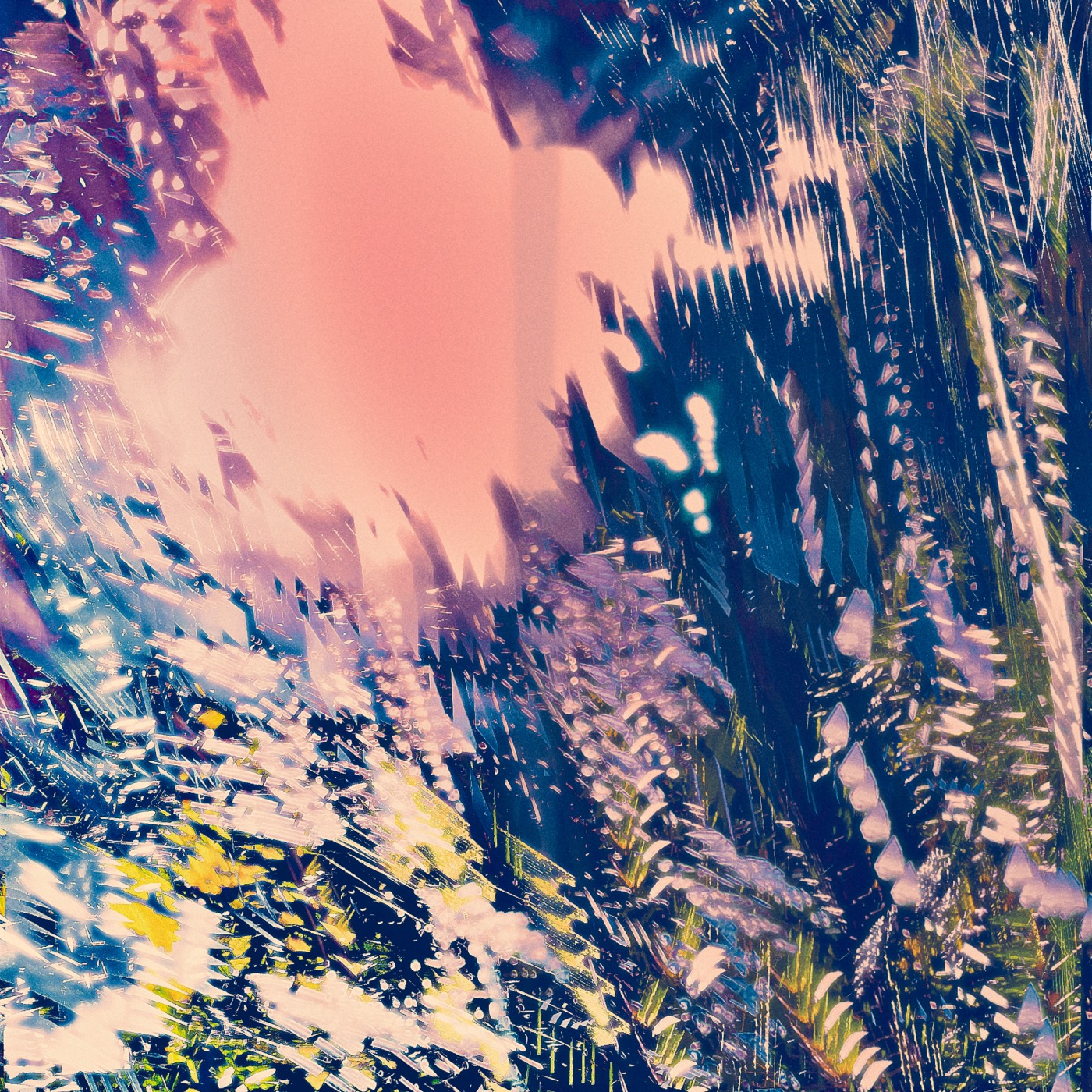Printemps 2023, image 01