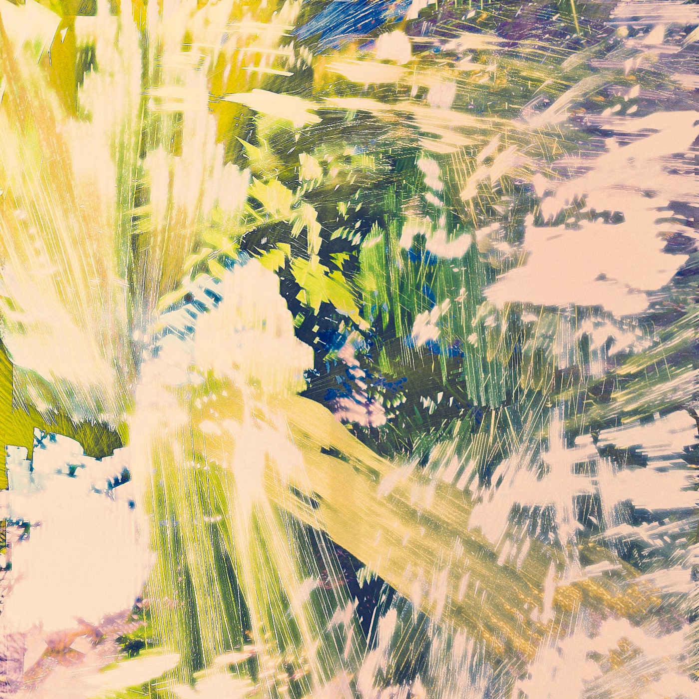 Printemps 2023, image 02