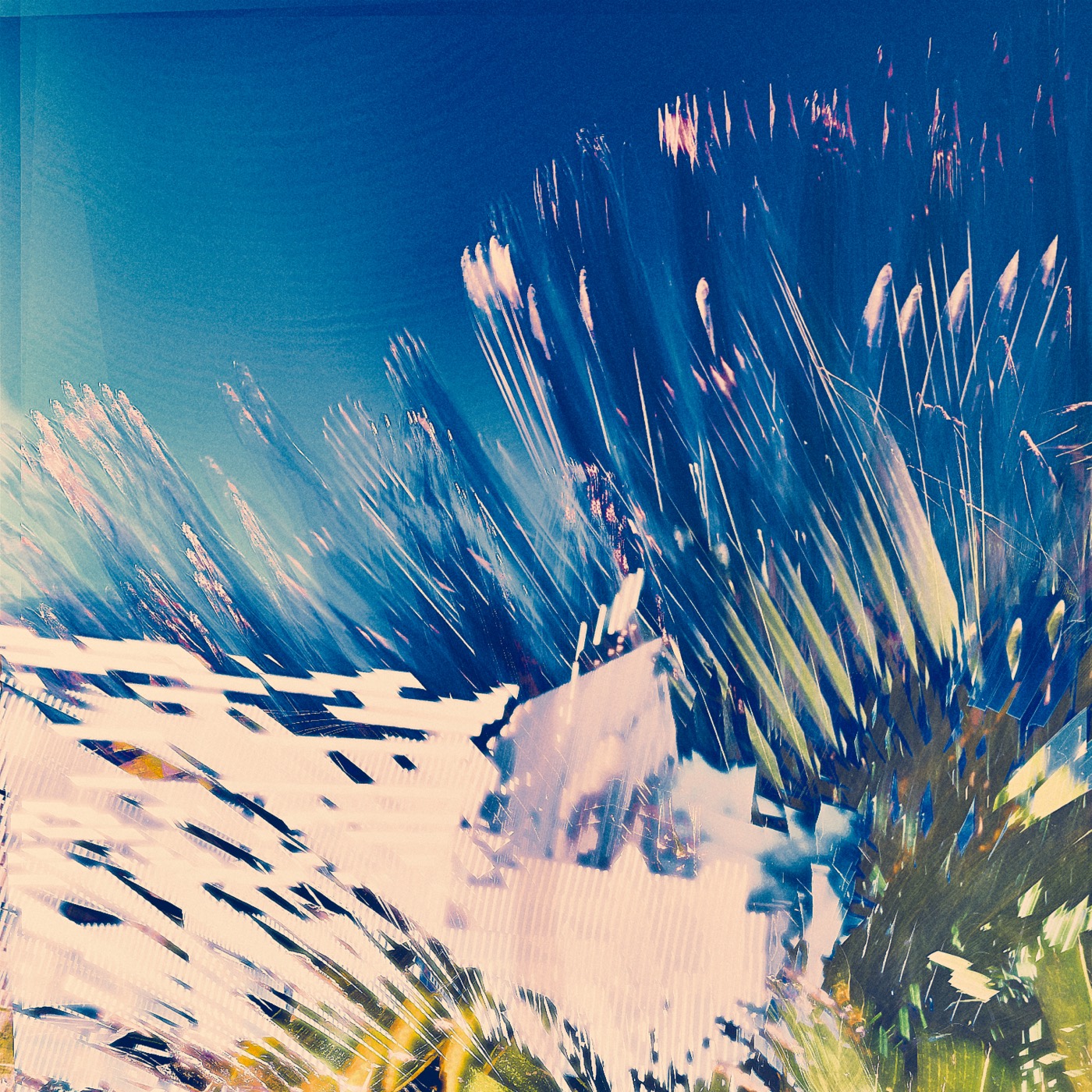Printemps 2023, image 04