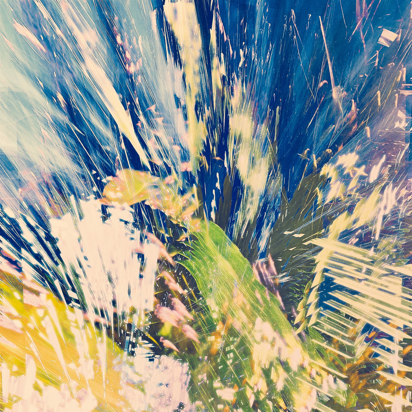 Printemps 2023, image 05