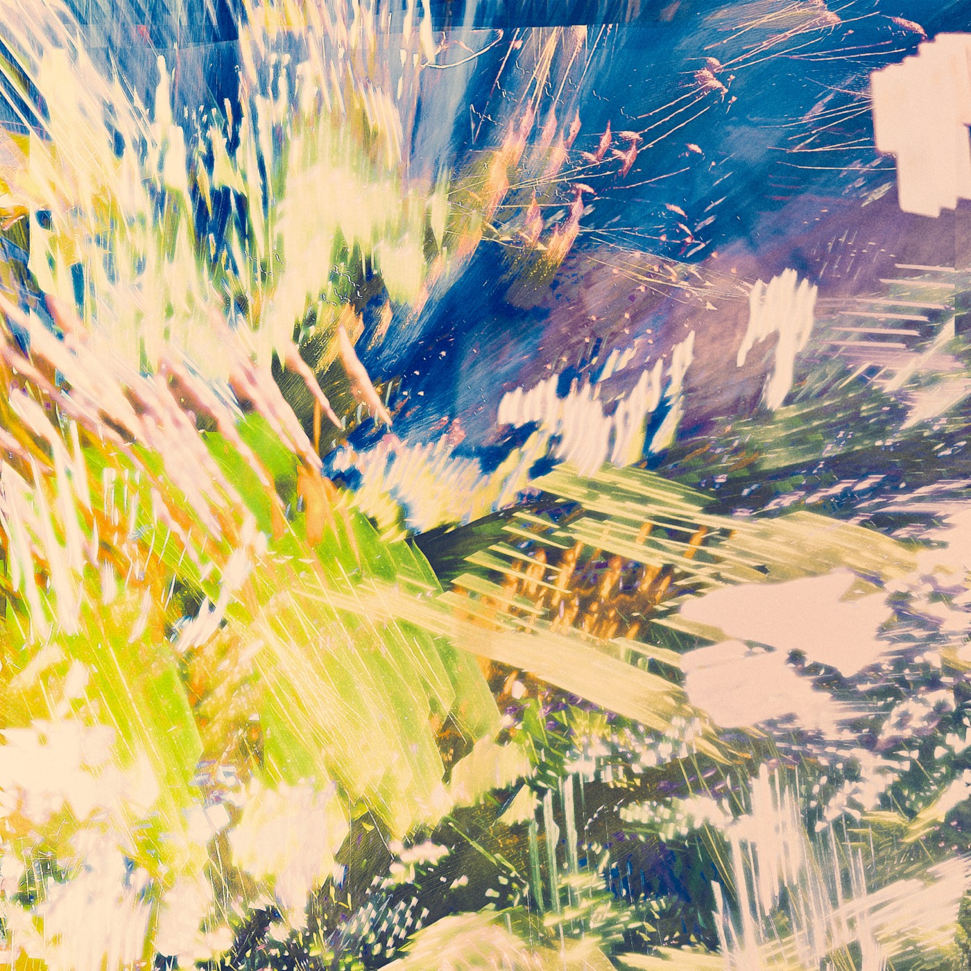 Printemps 2023, image 06