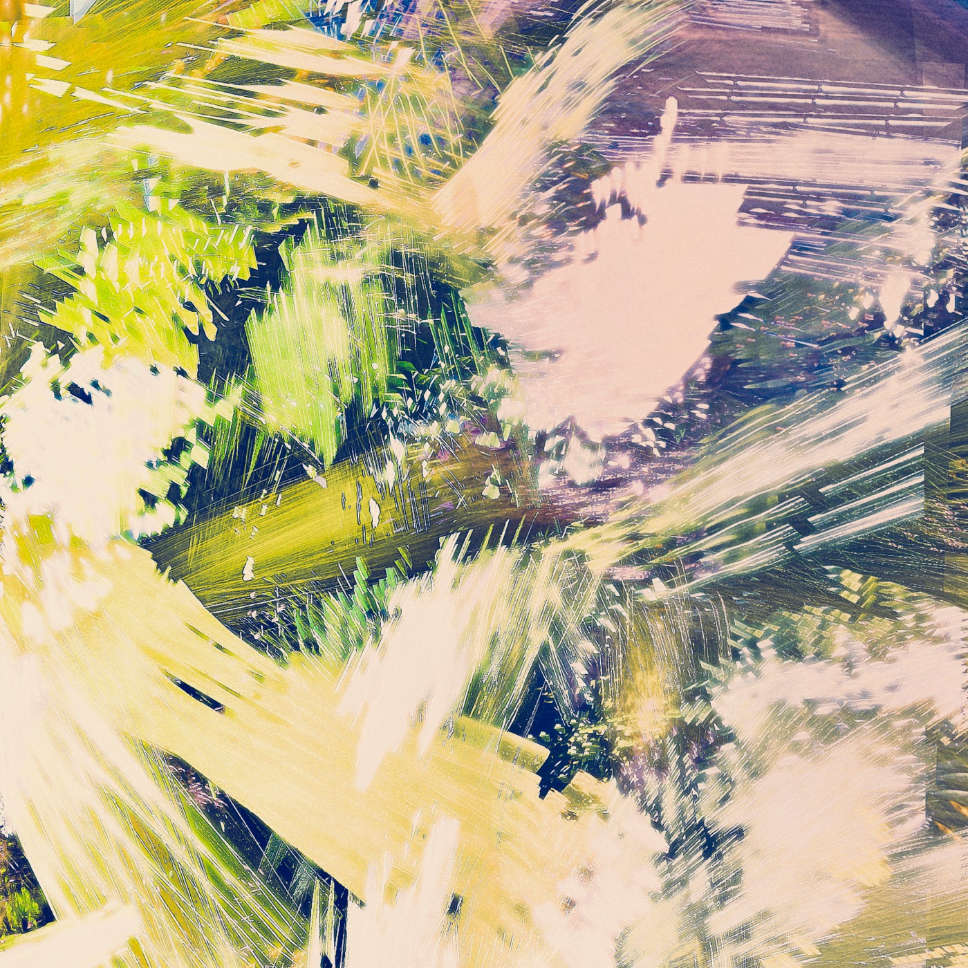Printemps 2023, image 07