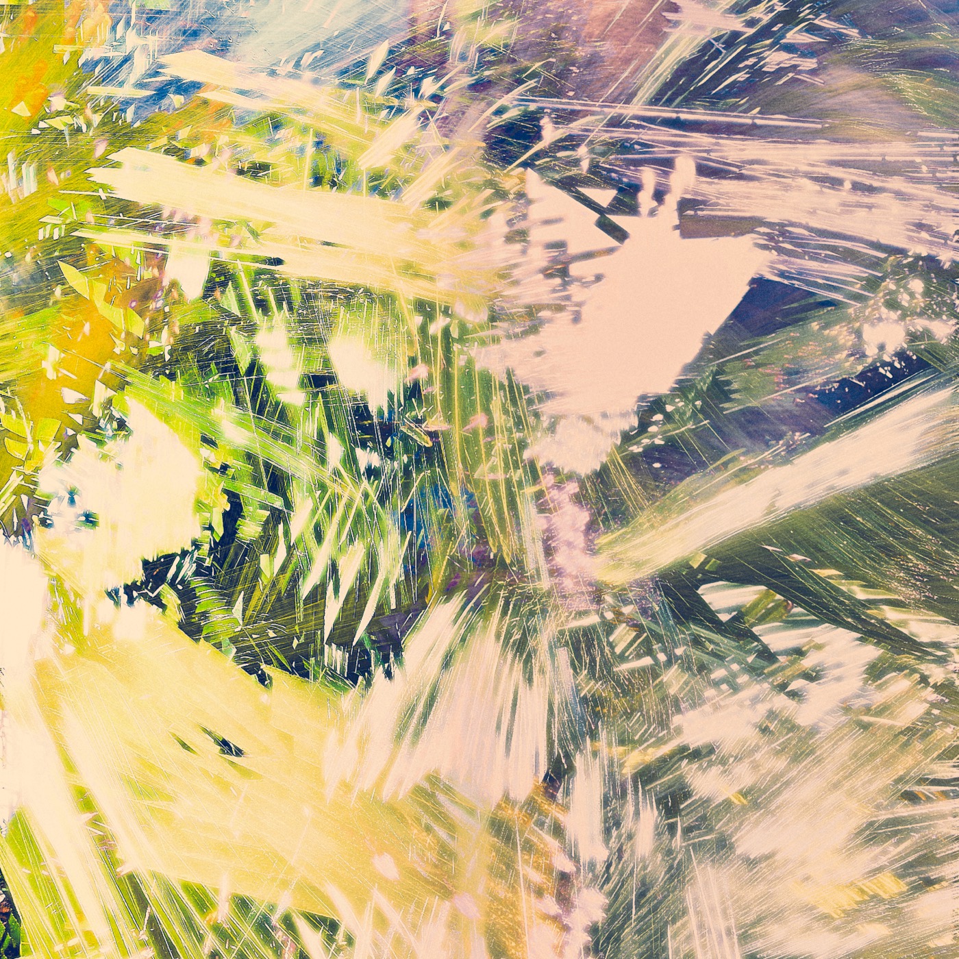 Printemps 2023, image 09