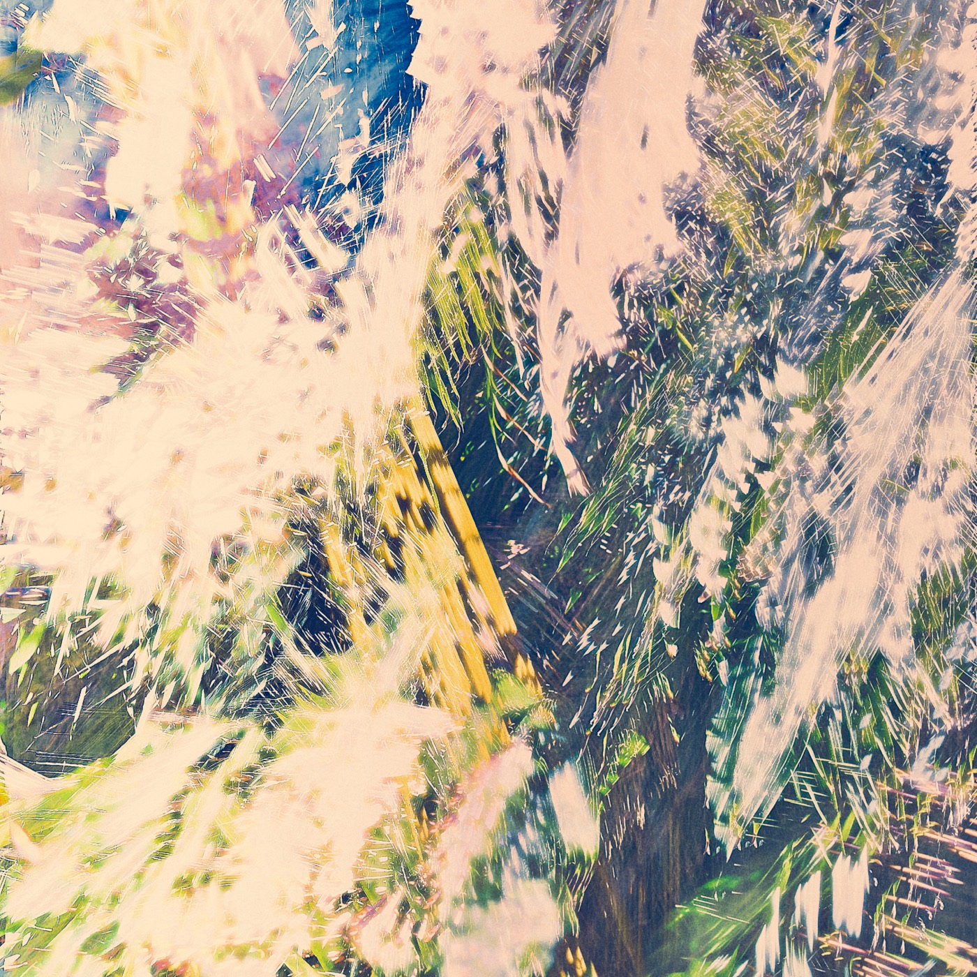 Printemps 2023, image 11