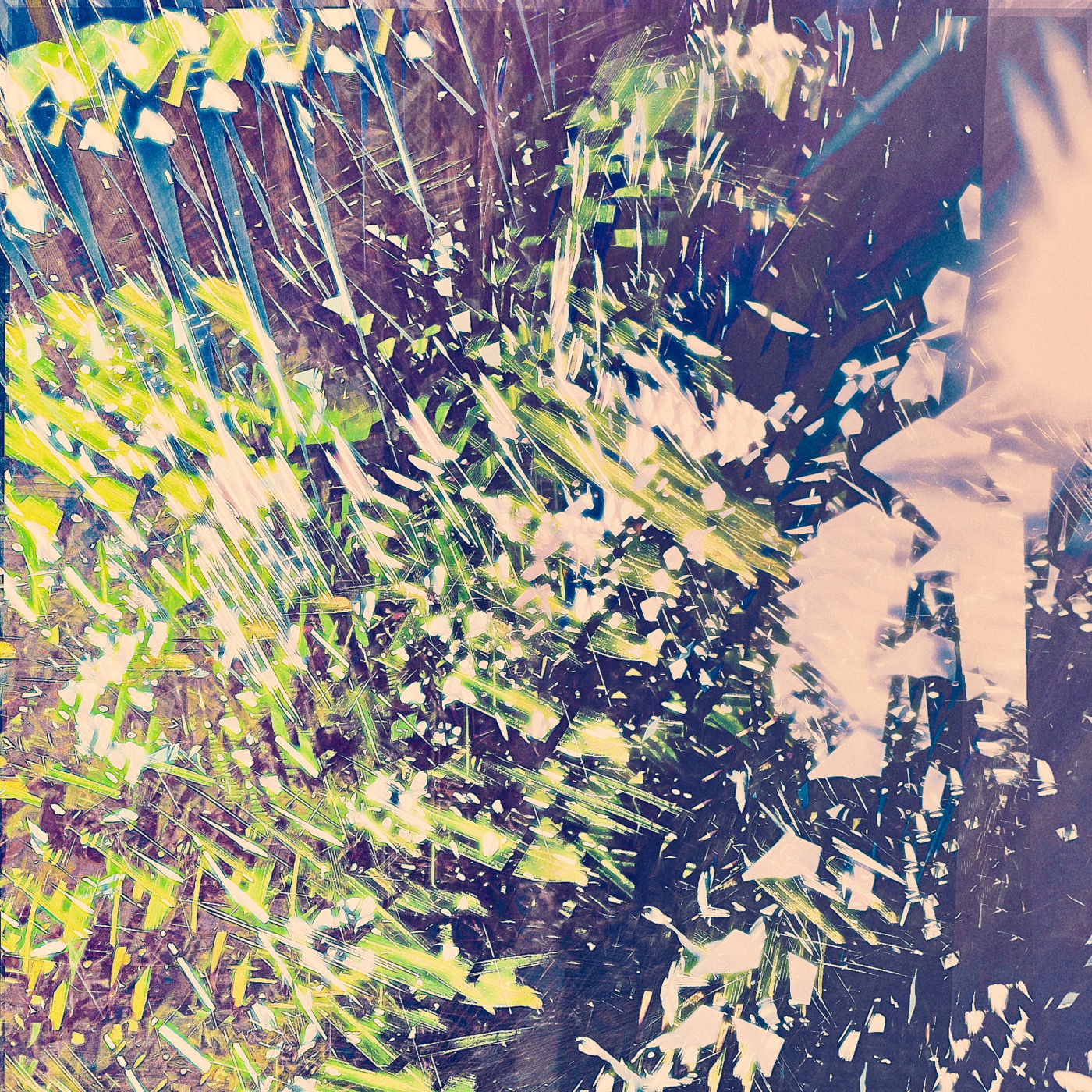 Printemps 2023, image 15