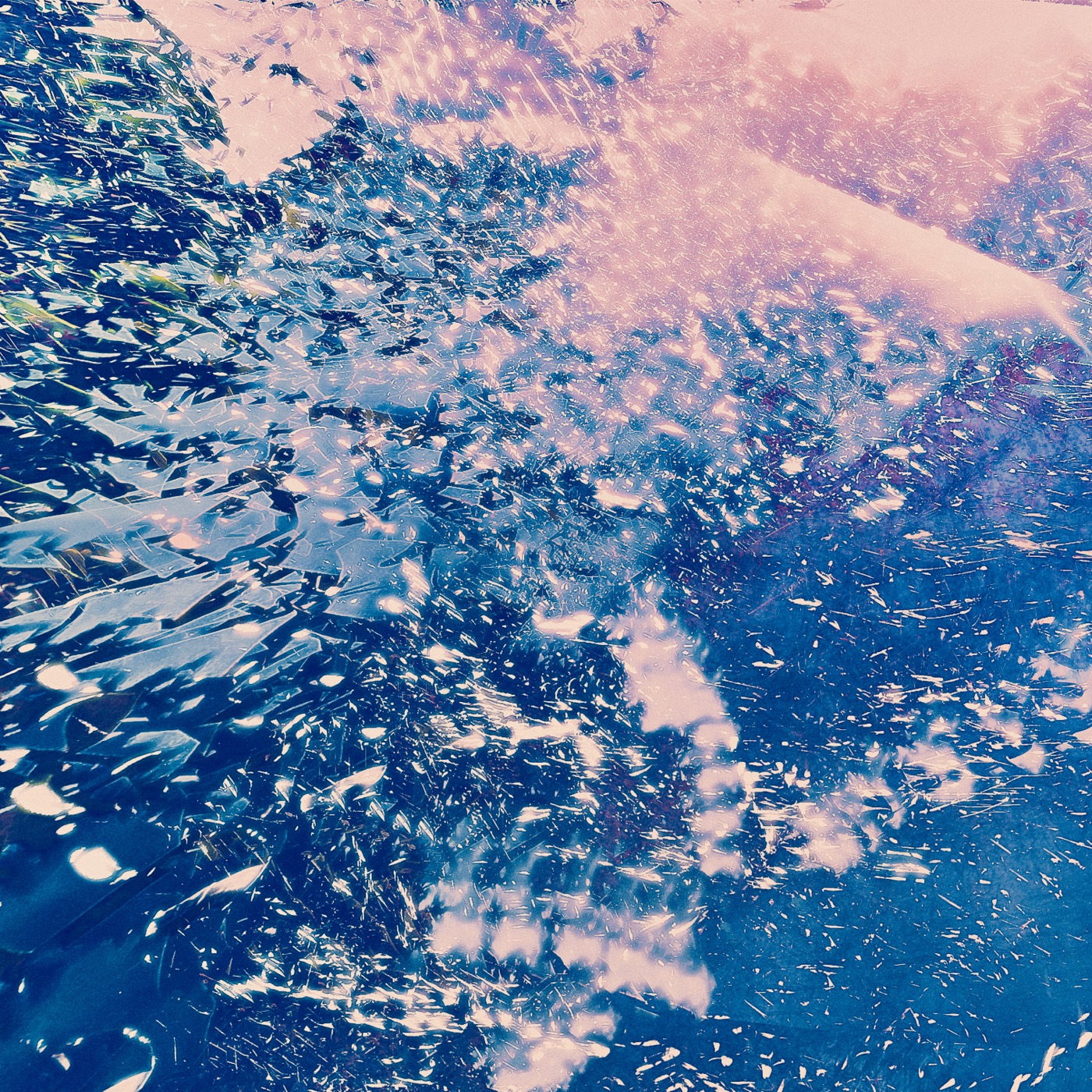 Printemps 2023, image 17