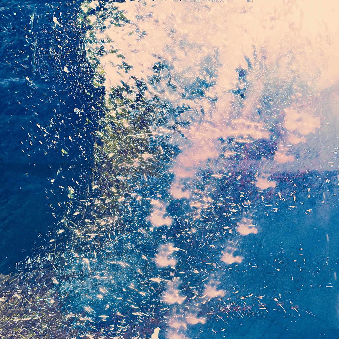 Printemps 2023, image 18