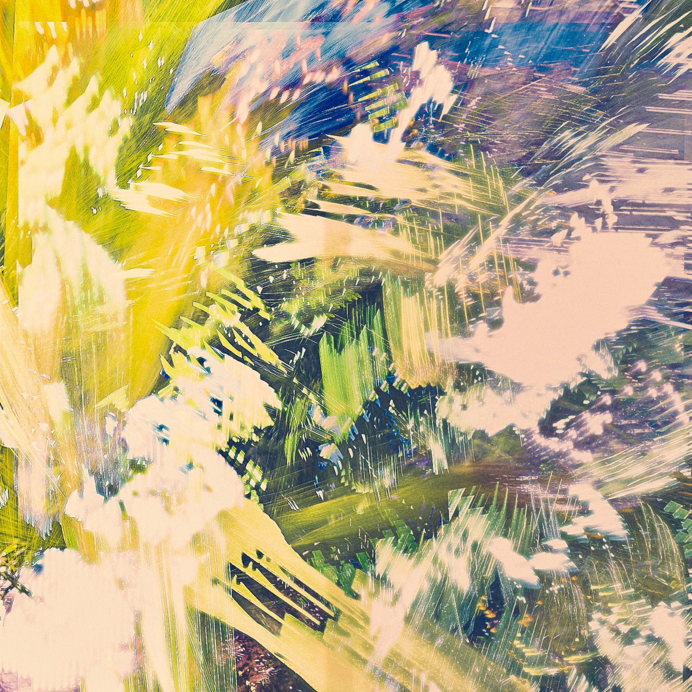 Printemps 2023, image 19