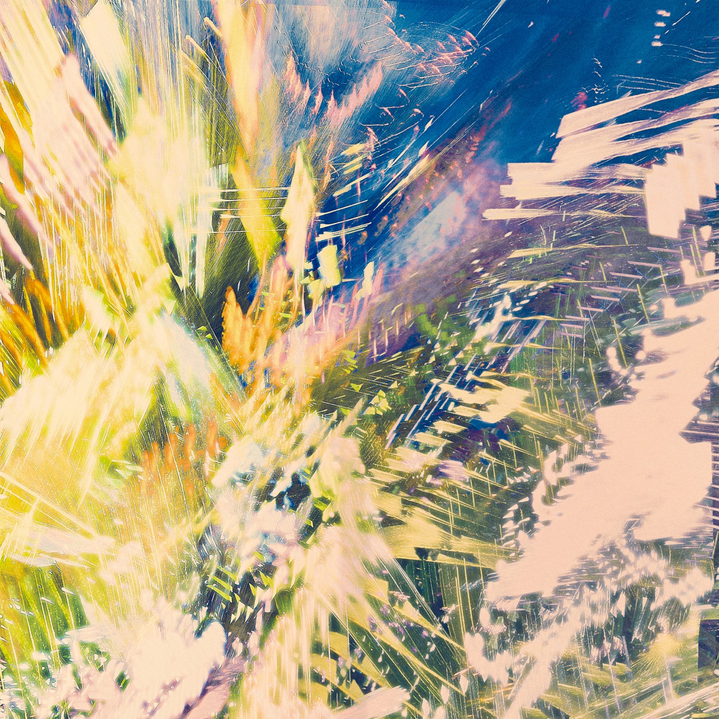 Printemps 2023, image 20