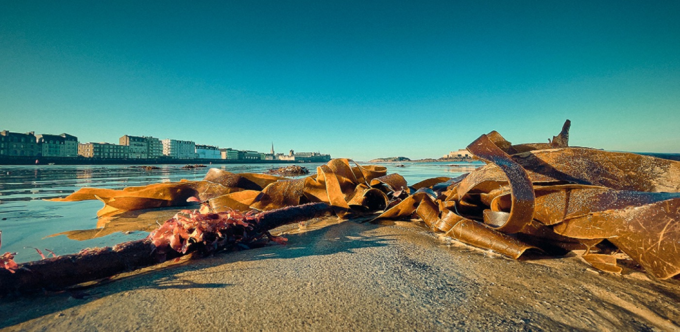 Saint-Malo en couleurs, image 08
