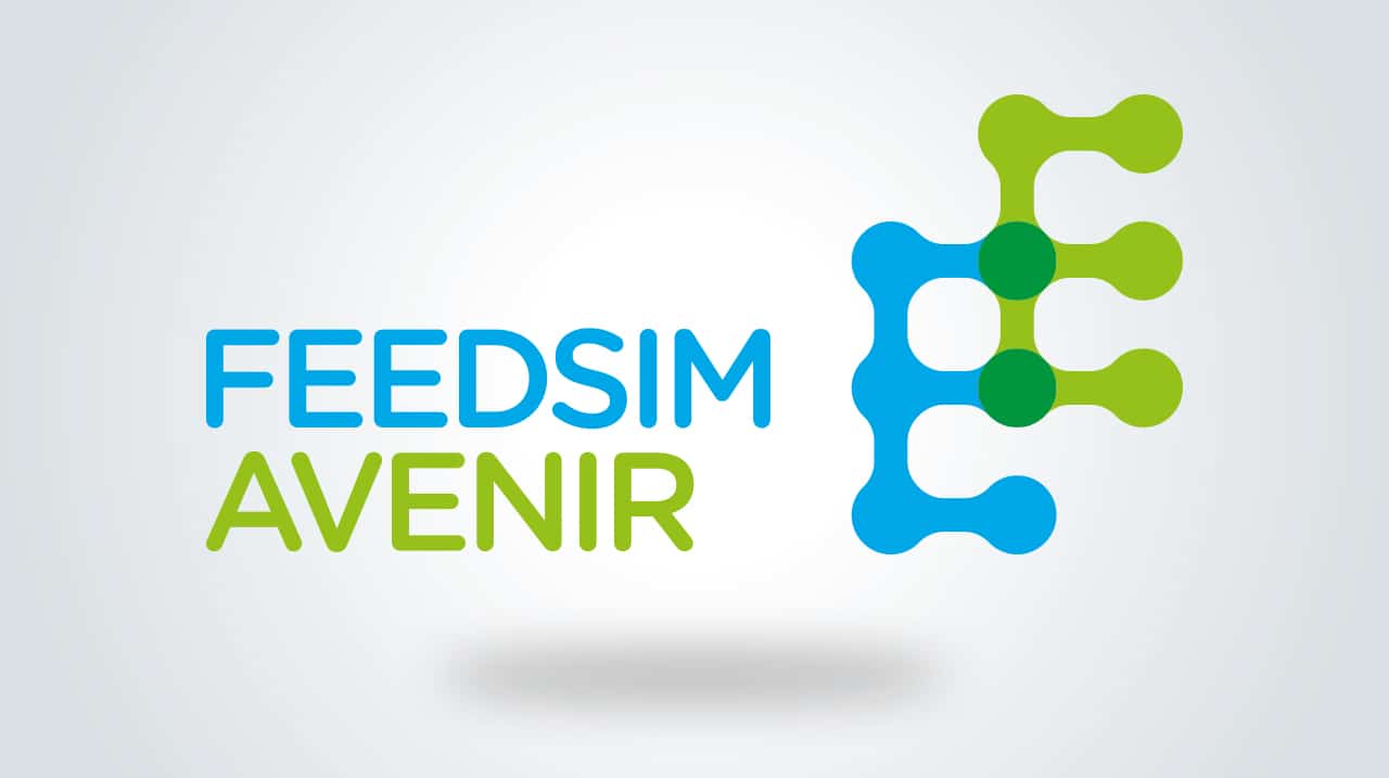 Logotype Feedsim Avenir-3