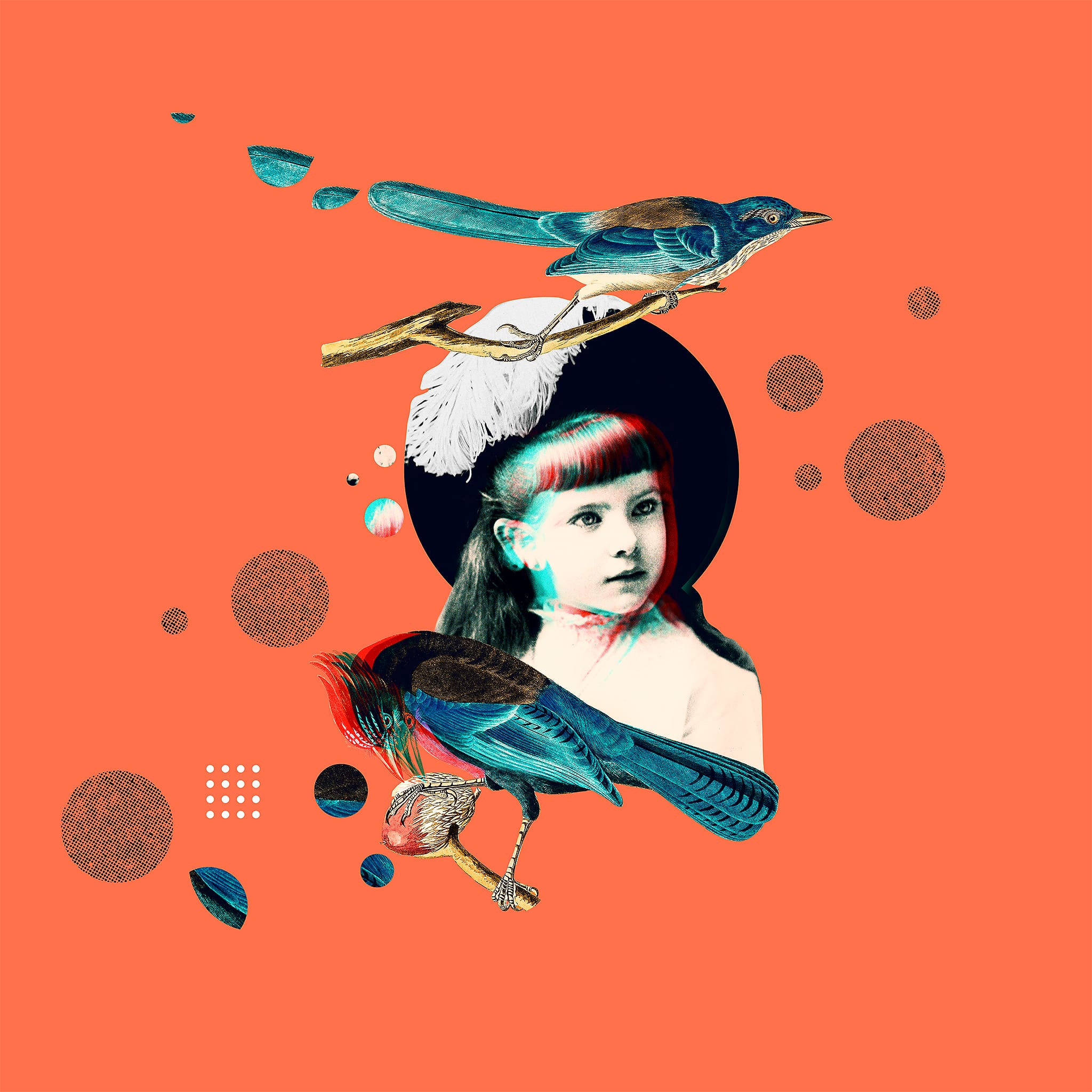 Collage - Jeune fille oiseau